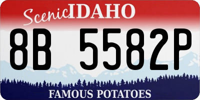 ID license plate 8B5582P