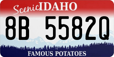 ID license plate 8B5582Q
