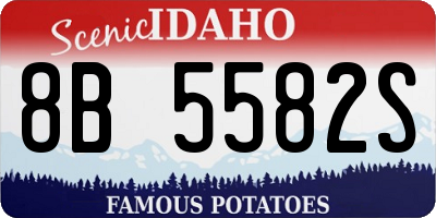 ID license plate 8B5582S