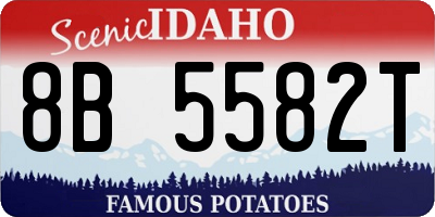 ID license plate 8B5582T