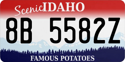ID license plate 8B5582Z