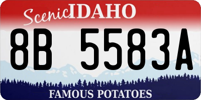ID license plate 8B5583A