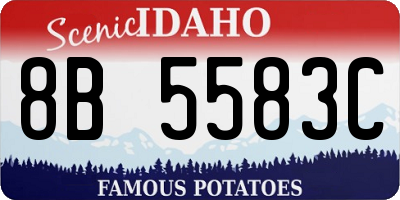 ID license plate 8B5583C