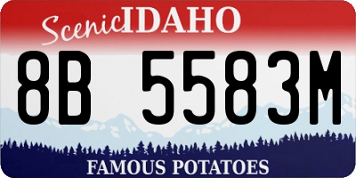 ID license plate 8B5583M