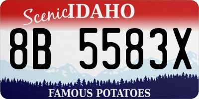 ID license plate 8B5583X
