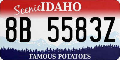 ID license plate 8B5583Z