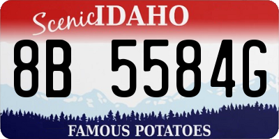 ID license plate 8B5584G