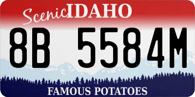 ID license plate 8B5584M