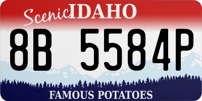 ID license plate 8B5584P
