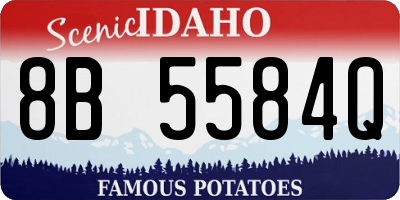 ID license plate 8B5584Q