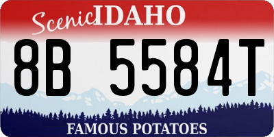 ID license plate 8B5584T