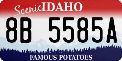 ID license plate 8B5585A