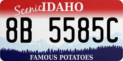 ID license plate 8B5585C