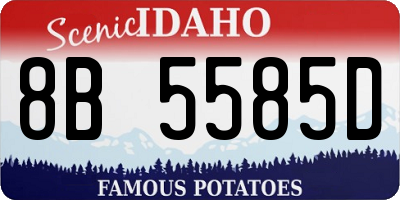 ID license plate 8B5585D