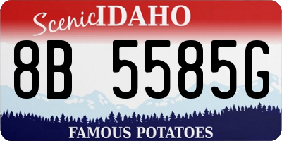 ID license plate 8B5585G