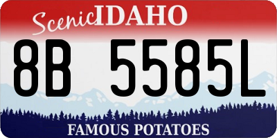 ID license plate 8B5585L