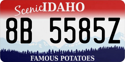 ID license plate 8B5585Z