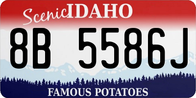 ID license plate 8B5586J