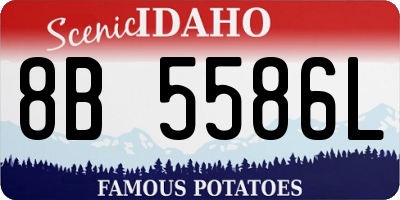 ID license plate 8B5586L
