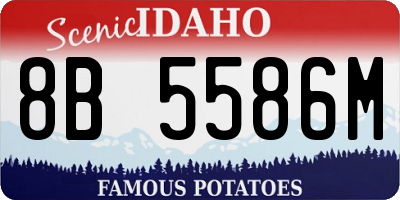 ID license plate 8B5586M