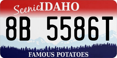 ID license plate 8B5586T