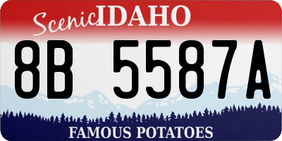 ID license plate 8B5587A
