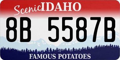 ID license plate 8B5587B