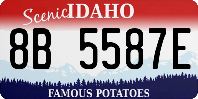 ID license plate 8B5587E