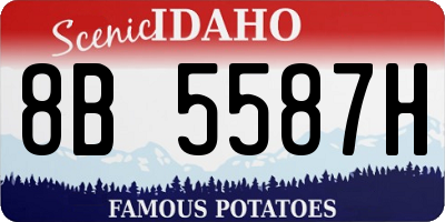ID license plate 8B5587H