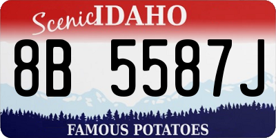 ID license plate 8B5587J