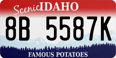 ID license plate 8B5587K