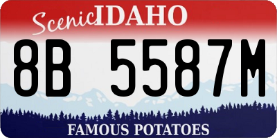 ID license plate 8B5587M