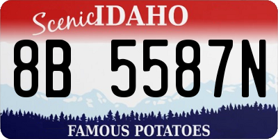 ID license plate 8B5587N