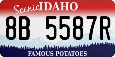 ID license plate 8B5587R