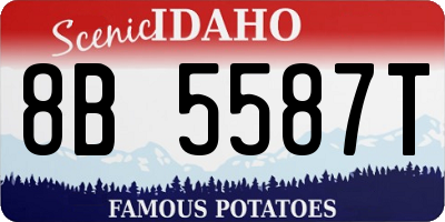 ID license plate 8B5587T