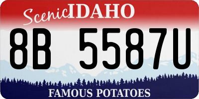 ID license plate 8B5587U