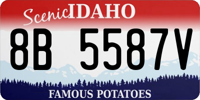 ID license plate 8B5587V