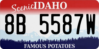 ID license plate 8B5587W
