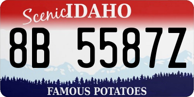 ID license plate 8B5587Z