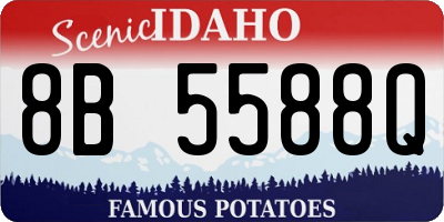 ID license plate 8B5588Q