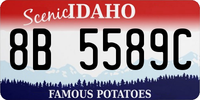 ID license plate 8B5589C