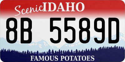 ID license plate 8B5589D
