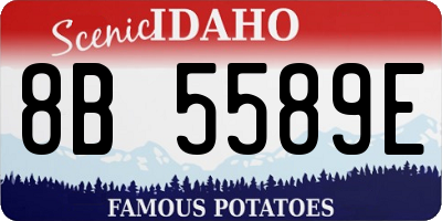 ID license plate 8B5589E