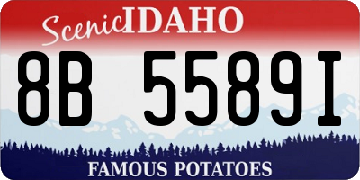 ID license plate 8B5589I