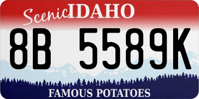 ID license plate 8B5589K