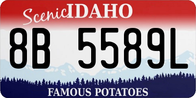 ID license plate 8B5589L