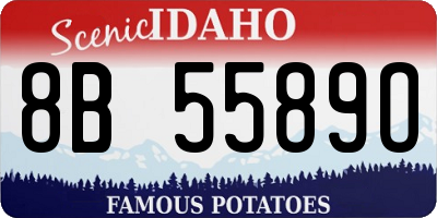 ID license plate 8B5589O