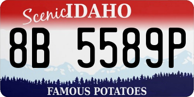 ID license plate 8B5589P