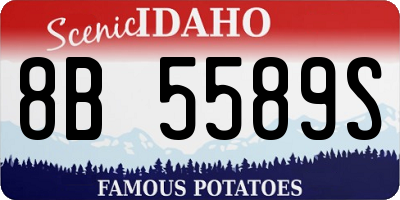 ID license plate 8B5589S