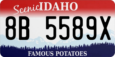 ID license plate 8B5589X